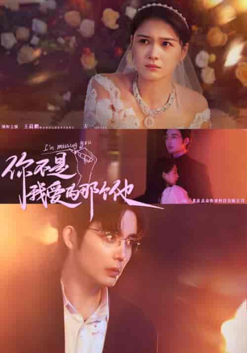 你不是我爱的那个他（54集全）顾予＆江晨-紫橙资源网