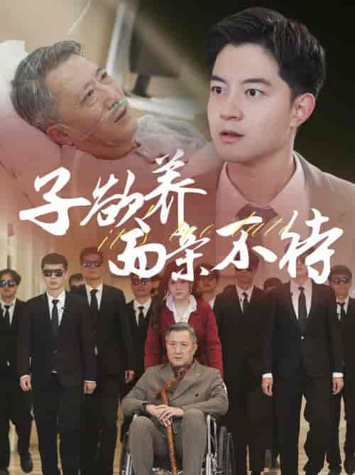 子欲养而亲不待（70集全） - 紫橙短剧