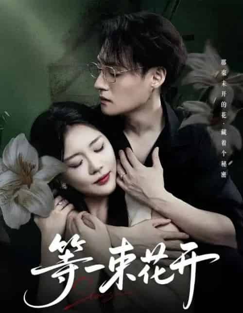 等一束花开（71集全）安敏＆强宇-紫橙资源网