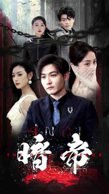 暗帝＆大夏帝骄（84集）-紫橙资源网