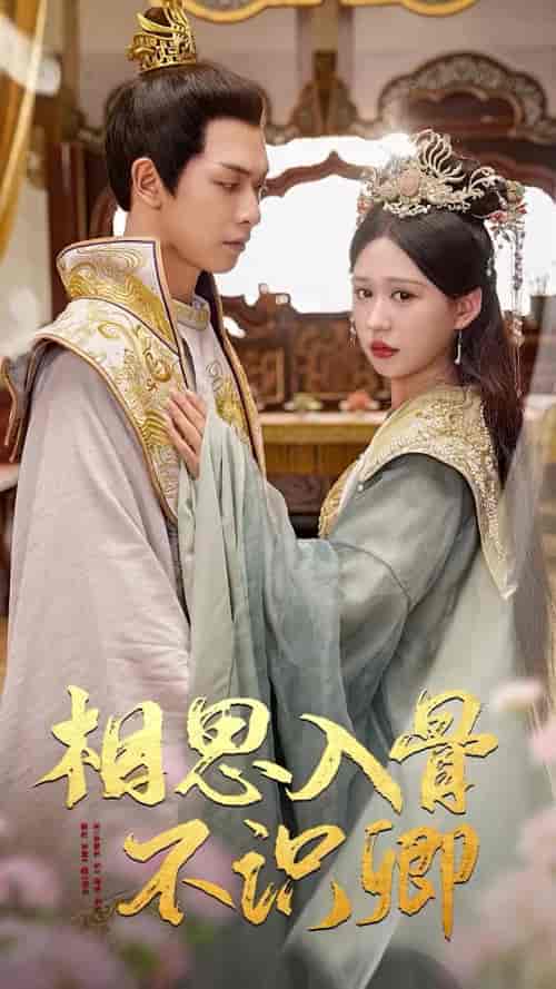 相思入骨不识卿(64集)柴慧欣-紫橙资源网