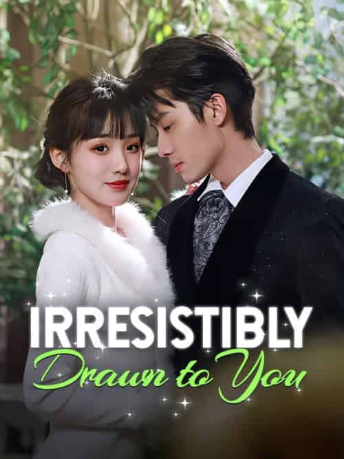 Irresistibly Drawn to You（99集）-紫橙资源网