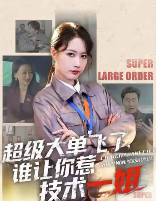超级大单飞了，谁让你惹技术一姐（70集全）黄兴饶＆张子璇-紫橙资源网