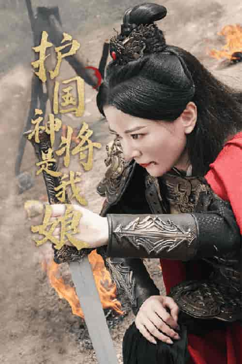 护国神将是我娘（60集）-紫橙资源网