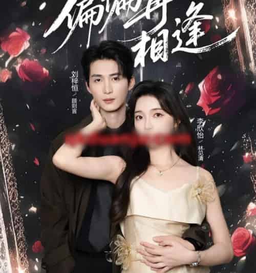偏偏再相逢(54集全)刘梓恒&李欣怡-紫橙资源网