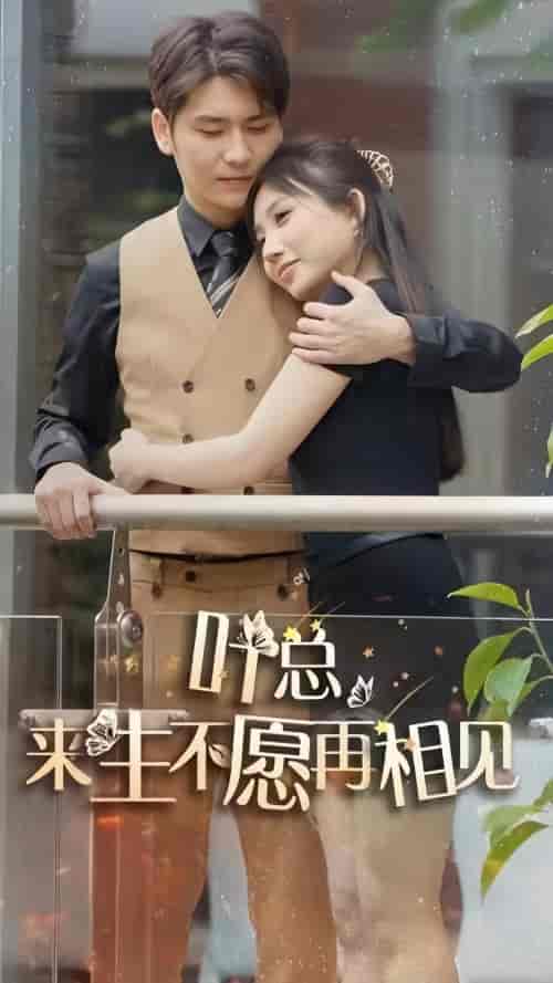 叶总来生不愿再相见 叶总来生不愿再相见