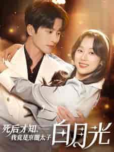 死后才知，我竟是京圈太子白月光（88集全）-紫橙资源网