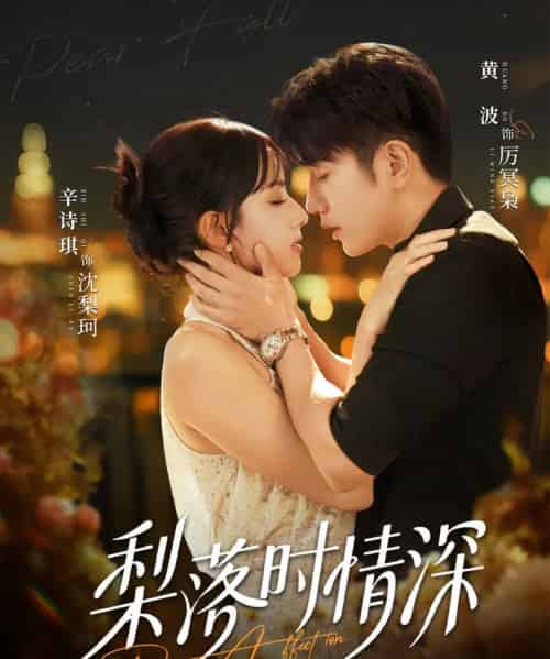 梨落时情深（60集全）黄波＆辛诗琪-紫橙资源网