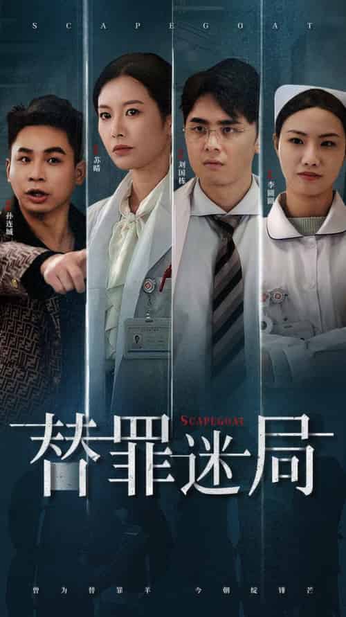 替罪迷局（42集全）-紫橙资源网