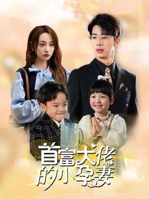首富大佬的小孕妻（100集全）-紫橙资源网