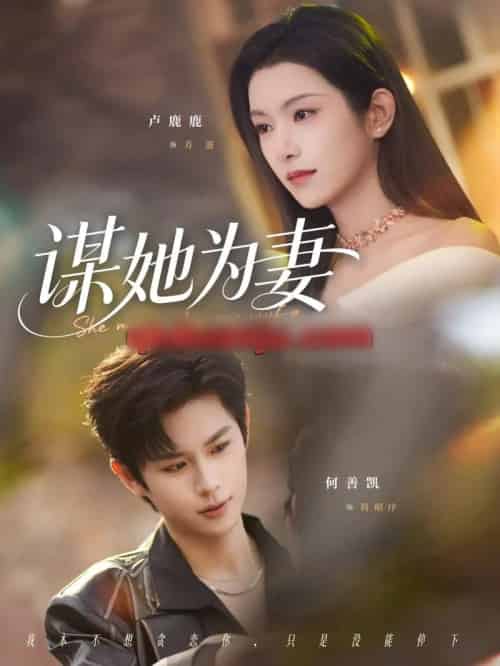 谋她为妻（82集全）何善凯＆卢鹿鹿-紫橙资源网