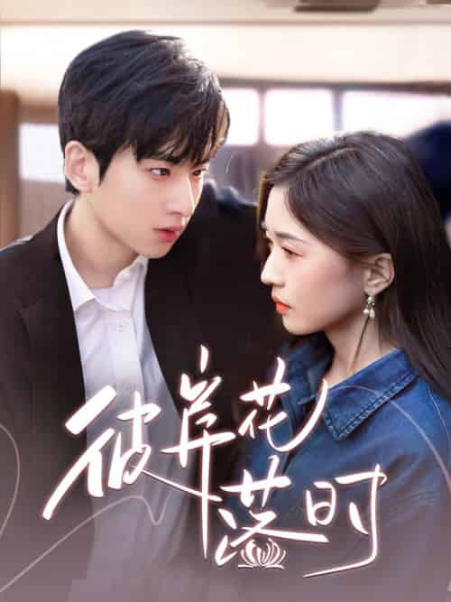 彼岸花落时（70集全）-紫橙资源网