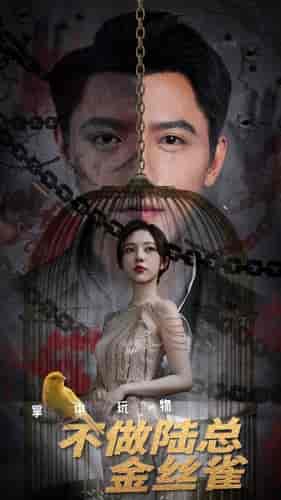 掌中玩物不做陆总金丝雀（90集）朱茉颜-紫橙资源网