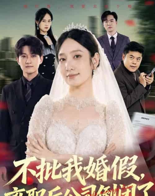 不批我婚假，离职后公司倒闭了（61集全）陈琳煜＆海睿-紫橙资源网