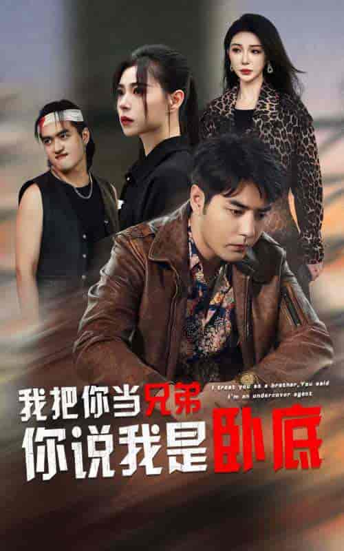 我把你当兄弟你说我是卧底（63集全）-紫橙资源网