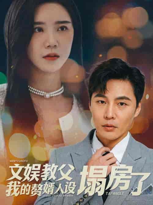 文娱教父我的赘婿人设塌房了(60集全)-紫橙资源网