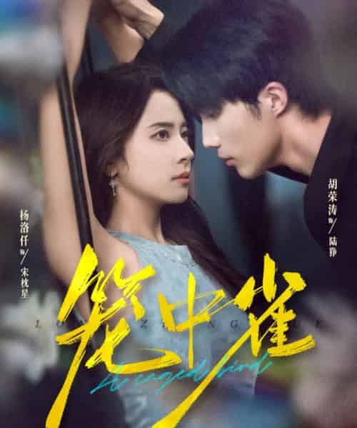 笼中雀(65集全)胡荣涛&杨洛仟-紫橙资源网