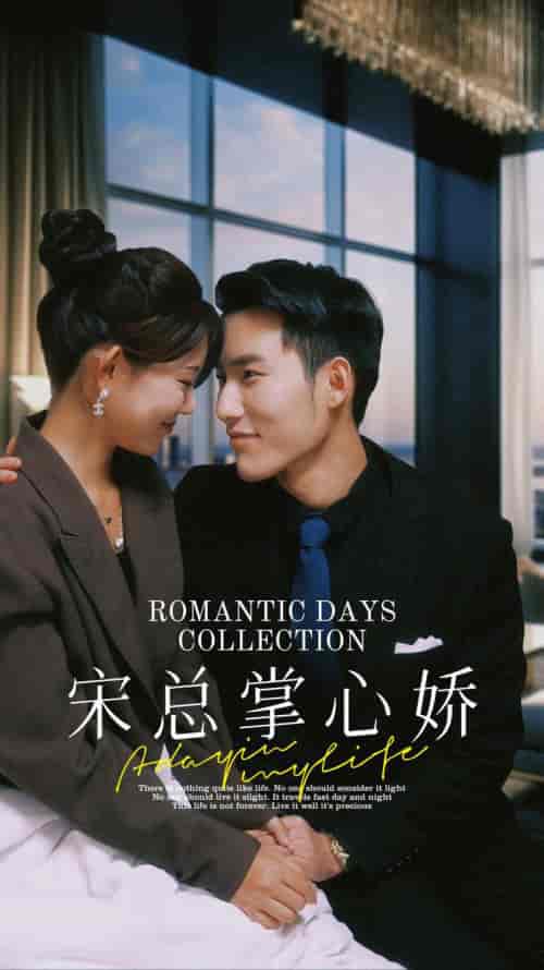 宋总掌心娇（97集）-紫橙资源网