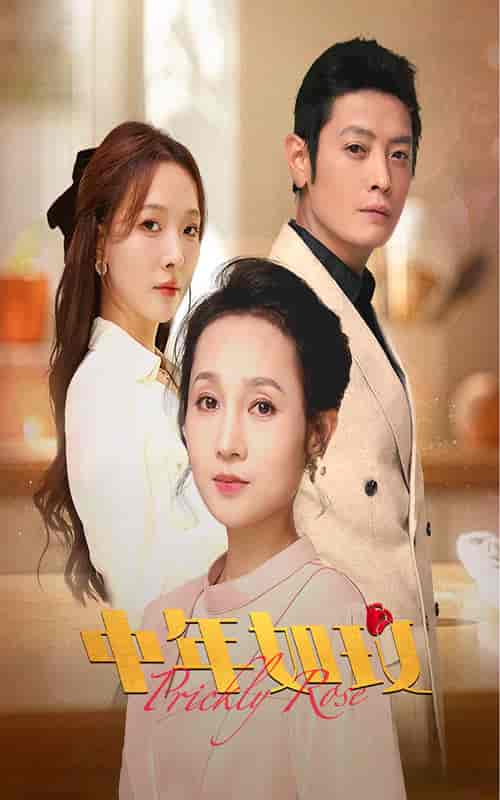 中年如玫（68集全）-紫橙资源网