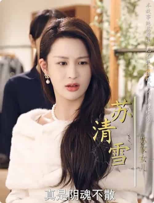 养母的秘密(34集全)-紫橙资源网