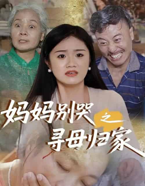 妈妈别哭之寻母归家（37集）-紫橙资源网