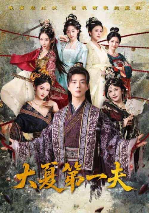 大夏第一夫(90集)胡冬晴&曲奇&李颂慈-紫橙资源网