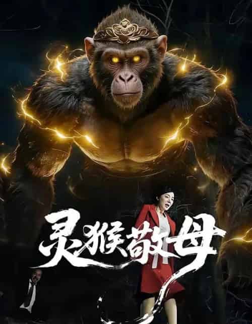 灵猴敬母（50集全）余果＆曹禹澄-紫橙资源网