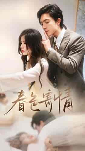 春色寄情（80集）-紫橙资源网