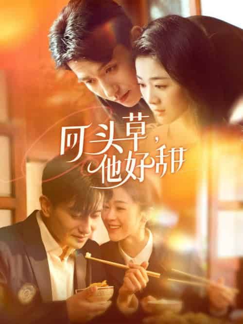 回头草，他好甜（80集全）黄波＆徐思祁-紫橙资源网