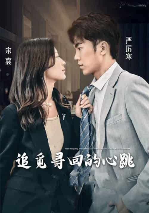 追觅寻回的心跳（100集全）严厉寒＆宋襄 - 紫橙短剧