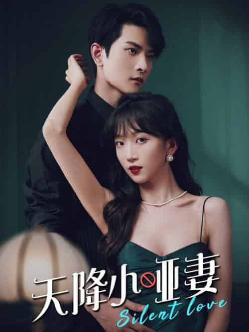 天降小哑妻（80集全）-紫橙资源网
