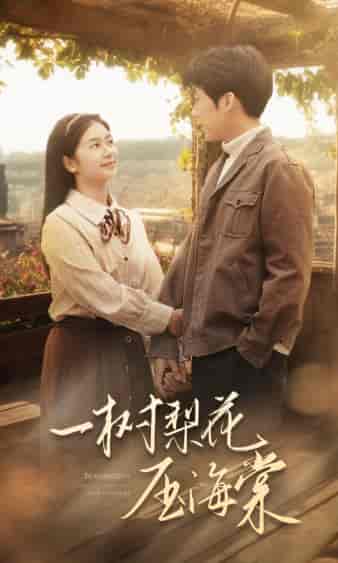 一树梨花压海棠（82集）严雯丽-紫橙资源网