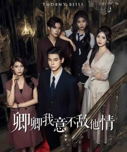 卿卿我意不敌他情（80集全）王倩倩＆袁志颖-紫橙资源网