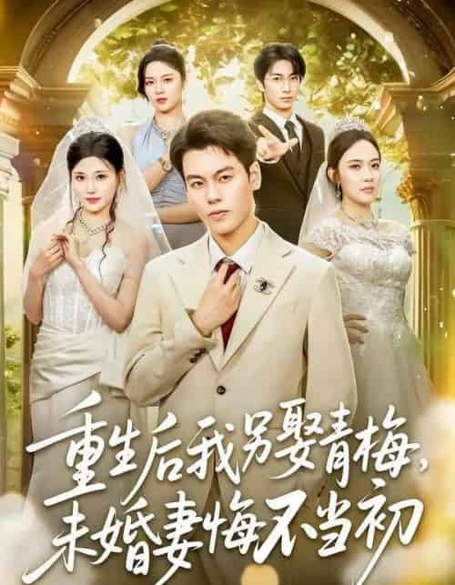 重生后我另娶青梅,未婚妻悔不当初(61集全)刘煜烨&胡蝶&张兮樾-紫橙资源网