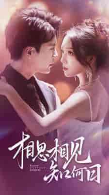 相思相见知何日(81集)-紫橙资源网