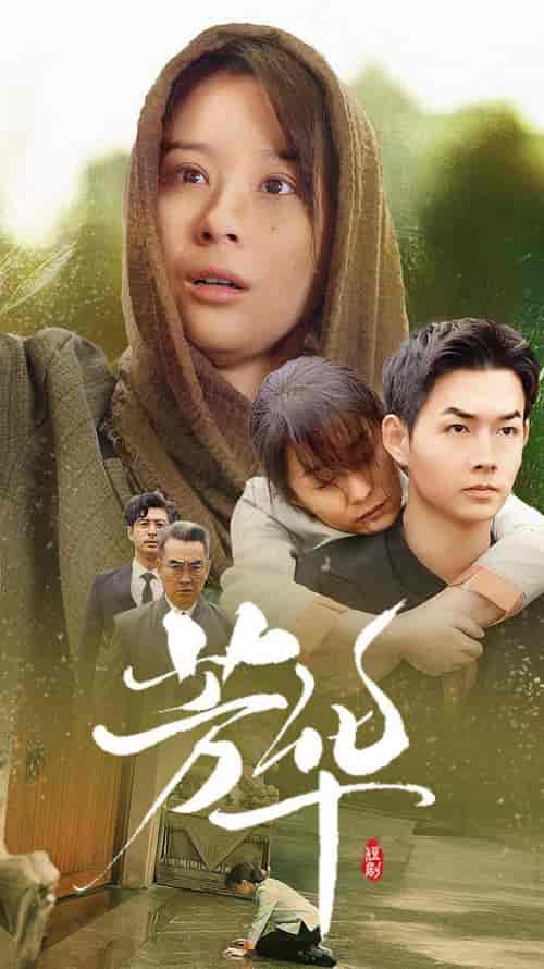 芳华（80集）-紫橙资源网