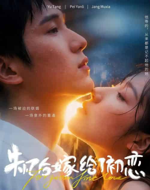 失忆后嫁给了初恋(10集全)AI-紫橙资源网