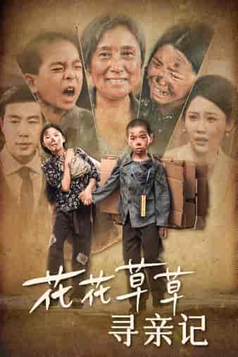 花花草草寻亲记（42集）-紫橙资源网