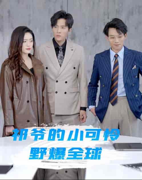 祁爷的小可怜野爆全球（81集）-紫橙资源网