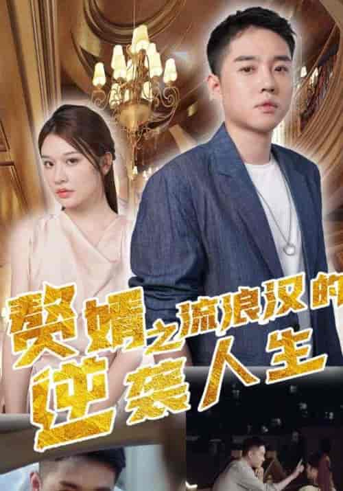 赘婿之流浪汉的逆袭人生（90集全）沐易安＆陆曦曦-紫橙资源网