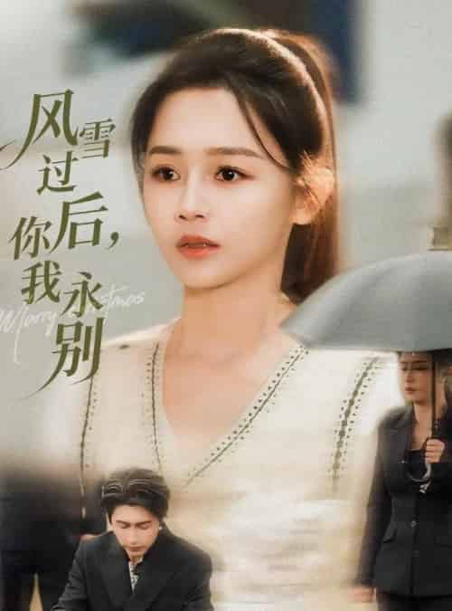 风雪过后，你我永别（51集全）王禹润＆郑湘敏-紫橙资源网