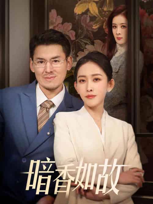 暗香如故(70集全)-紫橙资源网