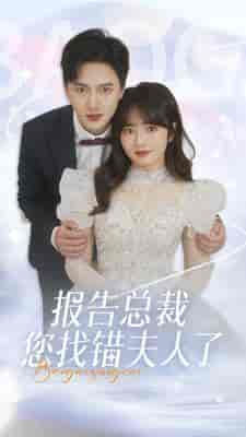 报告总裁您找错夫人了(93集)-紫橙资源网