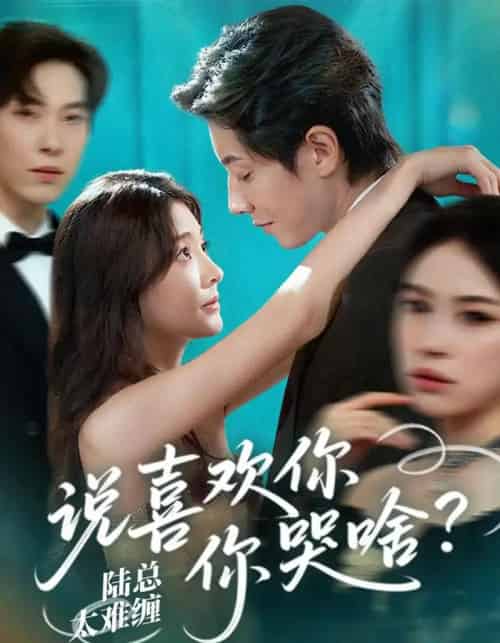 陆总太难缠说喜欢你你哭啥(60集)宋晨&李欣怡-紫橙资源网