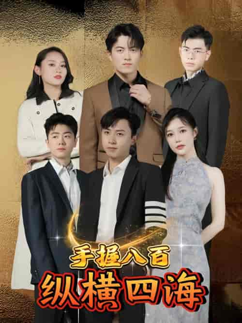 手握八百纵横四海(93集)-紫橙资源网