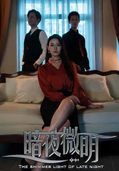 暗夜微明（70集全）傅宴＆吴青青-紫橙资源网