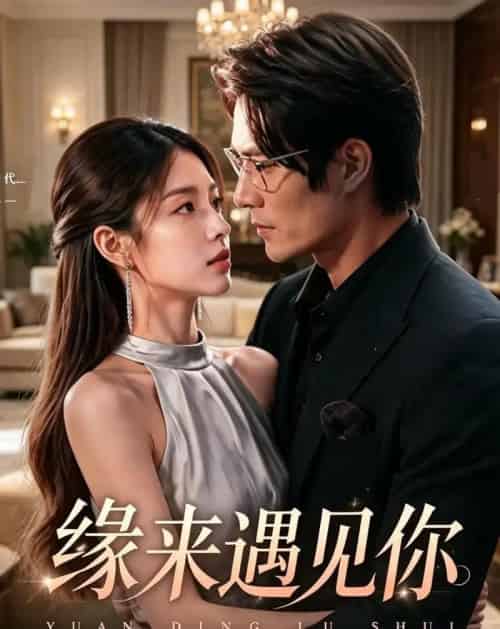 缘来遇见你(29集全)张秋怡&于航-紫橙资源网