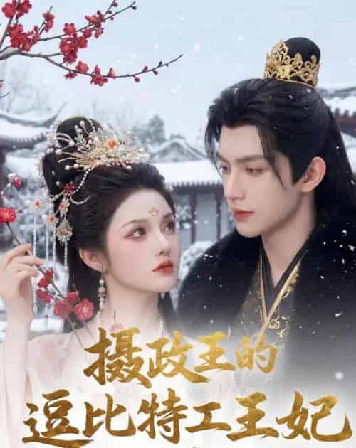 摄政王的逗比特工王妃又闯祸了（78集全）AI-紫橙资源网