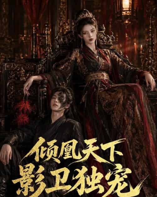 倾凰天下,影卫独宠(49集全)AI-紫橙资源网