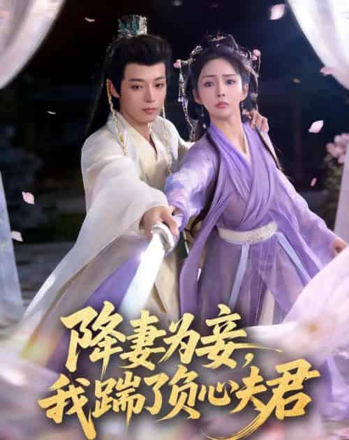 降妻为妾，我踹了负心夫君（49集全）高铭晞＆梁翊程-紫橙资源网